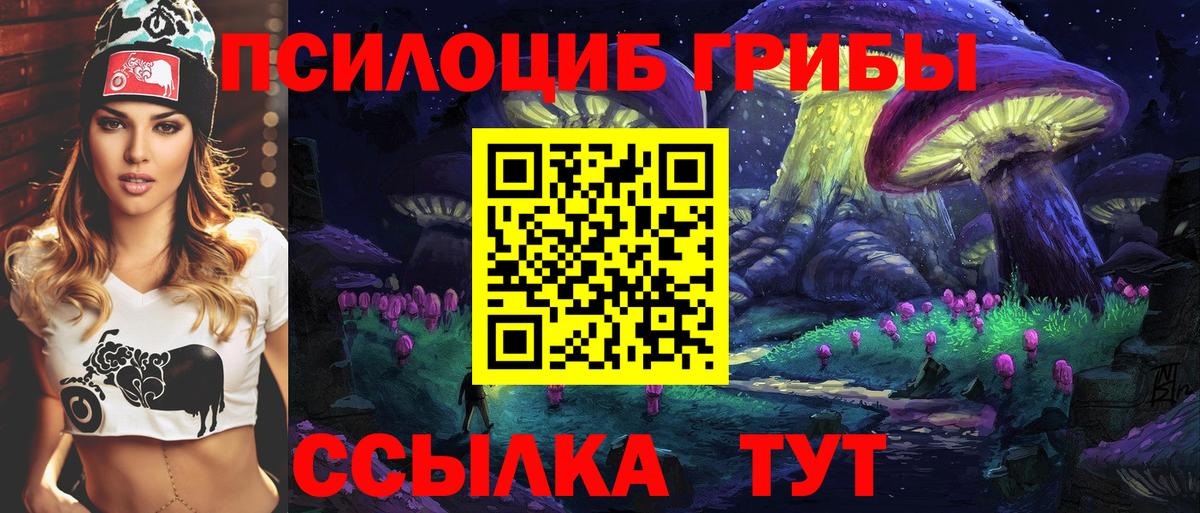 Псилоцибиновые грибы Psilocybine cubensis  Вход с VPN  Канаш 